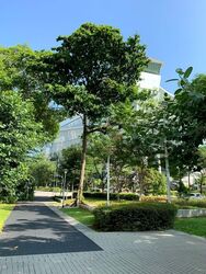 Blk 14 Dover Close East (Queenstown), HDB 5 Rooms #534180401